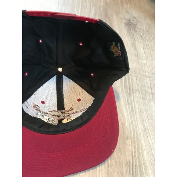 Vintage 1996 Deadstock Warner Brothers Space Jam Snapback Hat Michael Jordan - Picture 6 of 7